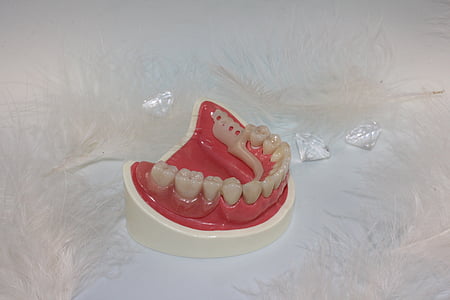 denture in white case thumbnail