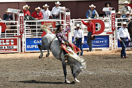 man riding white horse performing horse back riding thumbnail