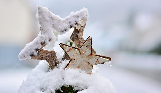 two snow cover star decor thumbnail