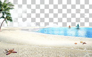 Beach Poster Accommodation, Beach ocean background, coconut tree near shoreline PNG clipart