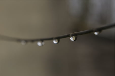 selective focus photography of water dews on branch thumbnail