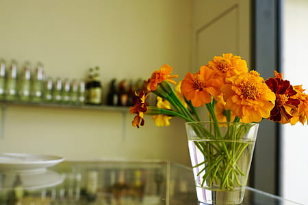 orange flowers in vase thumbnail