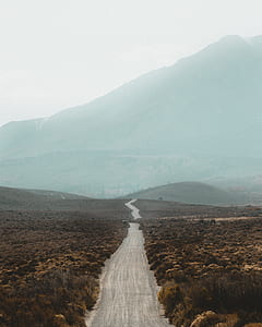 pathway between brown leaf grass at distance to mountain at daytime thumbnail