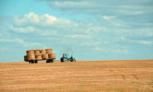 blue tractor carrying hays outdoors thumbnail
