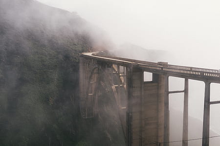 concrete bridge near forest thumbnail