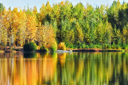 green and yellow trees near the body of water thumbnail