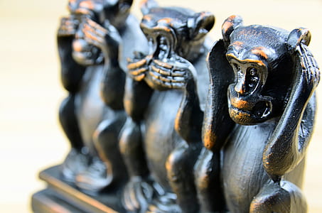 selective focus photograph of three wise monkey figurine thumbnail