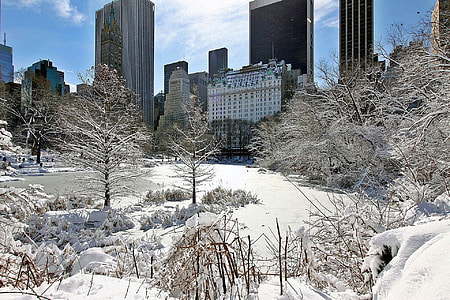 buildings during winter season thumbnail