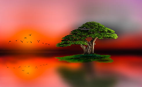 tree on red body of water illustration thumbnail