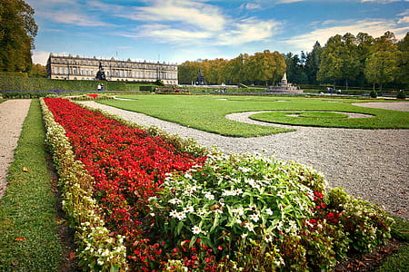 red flower bed under blue and white sky thumbnail