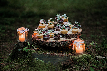 Cupcakes and candles in the woods thumbnail