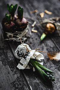 Woman making a little ornamental seedling in a small jar thumbnail
