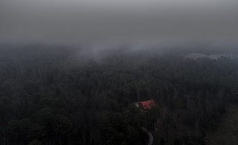 aerial photography of orange house surrounded by green forest trees during daytime thumbnail