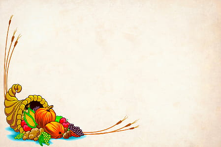Illustration of Thanksgiving themed background with fall elements. thumbnail