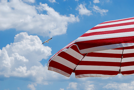 white bird soaring in sky near red-and-white striped umbrella thumbnail