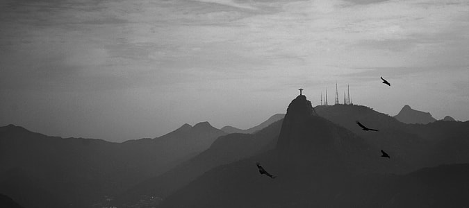 birds flying on mountain thumbnail