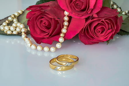 two gold-colored ring near red rose thumbnail