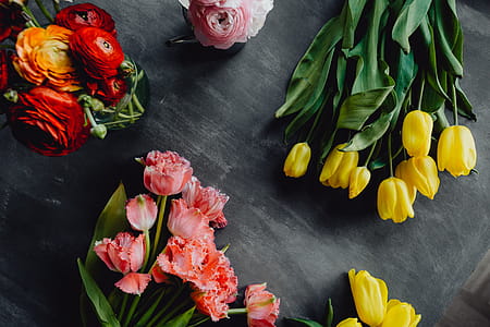 Colorful flowers on grey background with copy space thumbnail