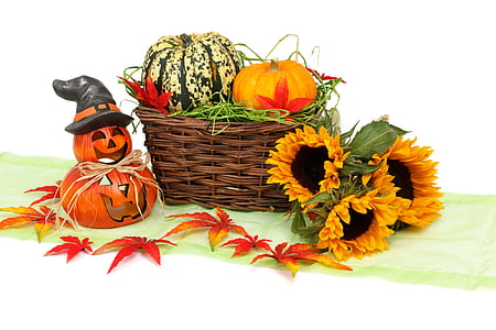 pumpkin and sunflower near basket thumbnail