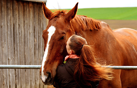 woman kissing horse thumbnail