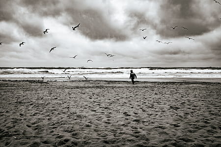 sea, beach, sand, water thumbnail