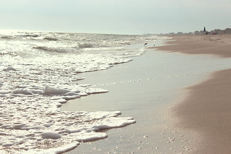 sea, beach, holiday, vacation thumbnail