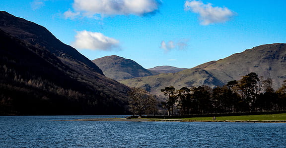 landscape, nature, water, trees thumbnail