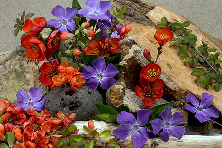 red and purple flowers surrounded by stones thumbnail