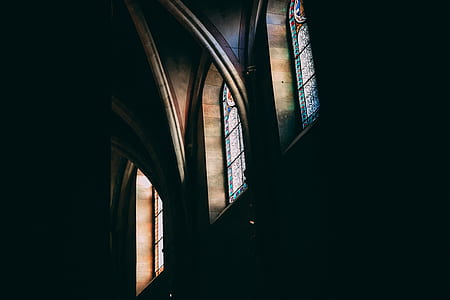 low angle photography of building window thumbnail