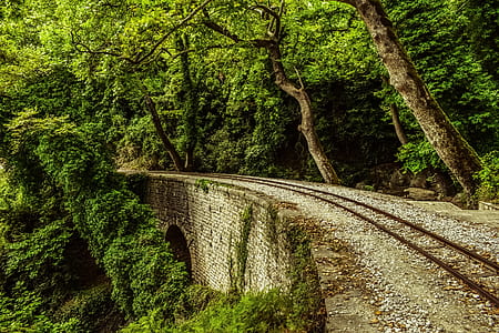 empty gray stone arch bridge in the middle of woods during day thumbnail