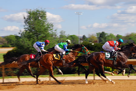 three men ride on brown horses thumbnail