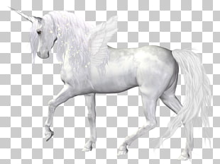 The Black Unicorn Horse , Fantasy Angel Unicorn , white unicorn PNG clipart