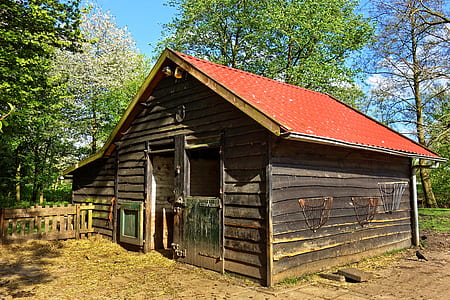 brown wooden house beside trees at daytime thumbnail