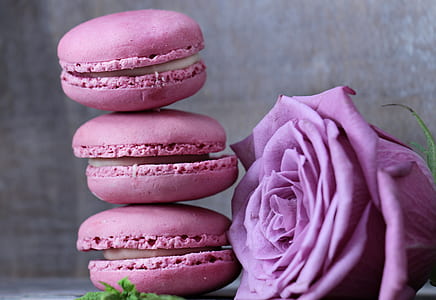 balanced macarons beside pink rose flower thumbnail