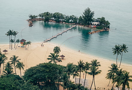 beach, island, ocean, palm trees, paradise thumbnail