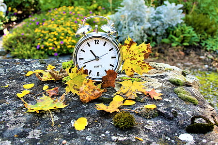 bell alarm clock displaying 10:41 time thumbnail