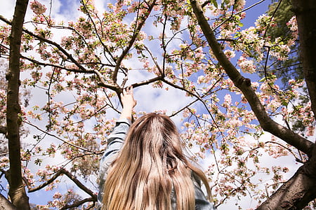 woman standing under flowering tree thumbnail