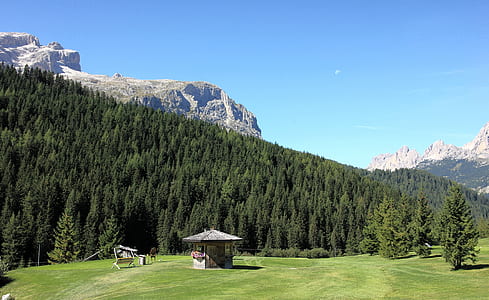 house near pine trees and mountains thumbnail