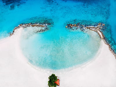 white sand seaside at daytime thumbnail
