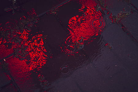 flow, macro, glow, dark thumbnail