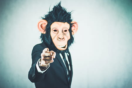 black suit jacket with monkey face illustration thumbnail