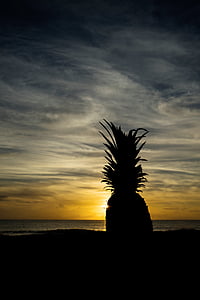 silhouette of pineapple on shoreline thumbnail