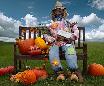 scarecrow sitting on bench surrounded by pumpkins thumbnail