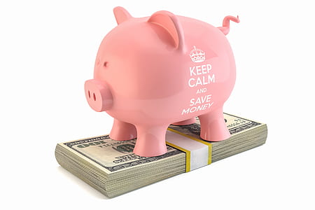 pink piggy bank on bungle od US dollar banknote thumbnail