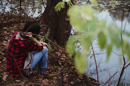 person sitting near tree thumbnail