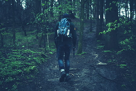 walking man with backpack inside forest at daytime thumbnail