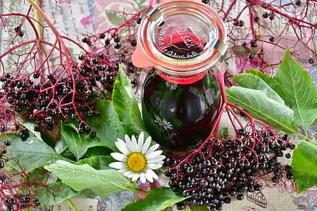 white daisy beside jar with black liquid and blackberries thumbnail