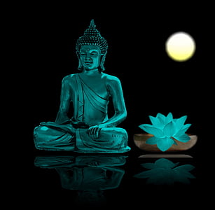 closeup photo of Buddha figurine beside glowing lotus flower thumbnail