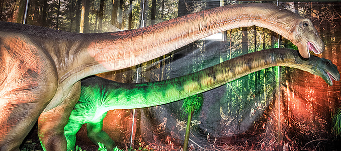 Apatosaurus thumbnail