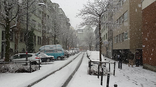 vehicles parked near building beside snow covered road thumbnail